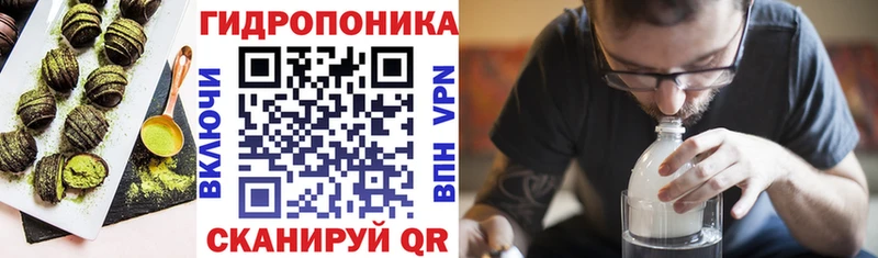Canna-Cookies конопля  Чернушка 