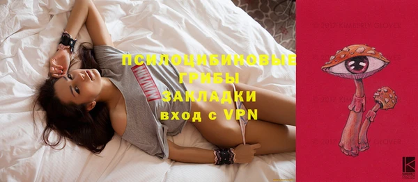 прущий лед Аркадак