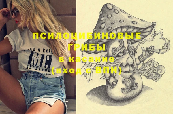 прущий лед Аркадак