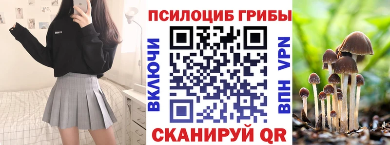 Галлюциногенные грибы прущие грибы  Чернушка 