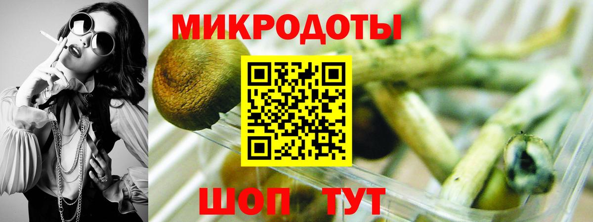 Галлюциногенные грибы Psilocybine cubensis Чернушка