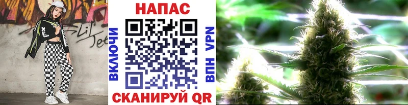 Шишки марихуана SATIVA & INDICA Чернушка